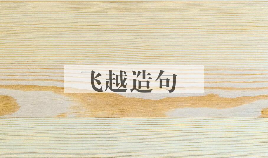 用飞越造句