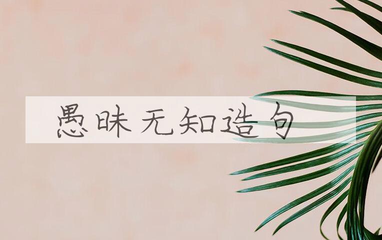 用愚昧无知造句