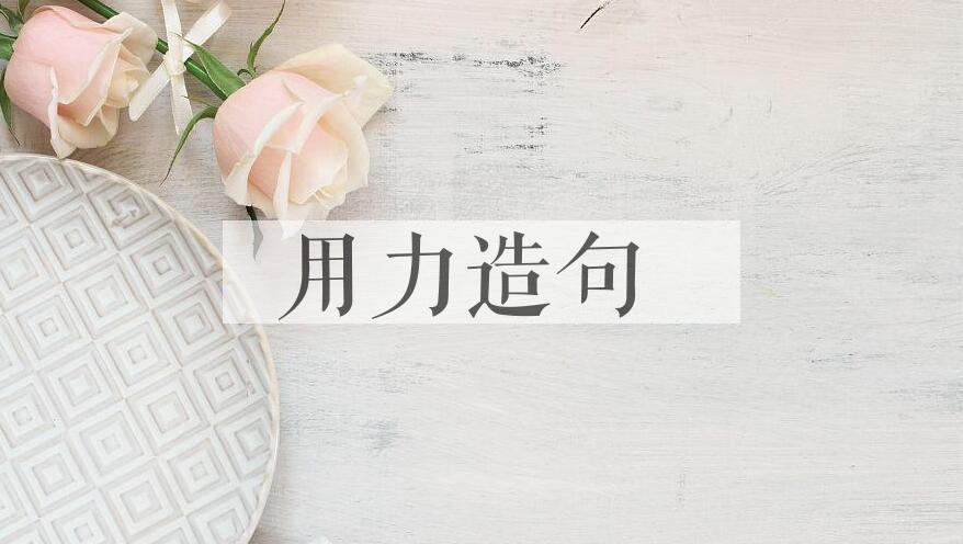 用用力造句