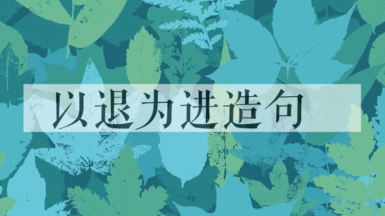用以退为进造句
