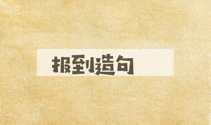 用报到造句