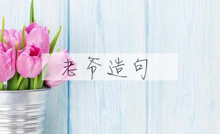 用老爷造句