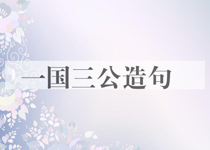 用一国三公造句