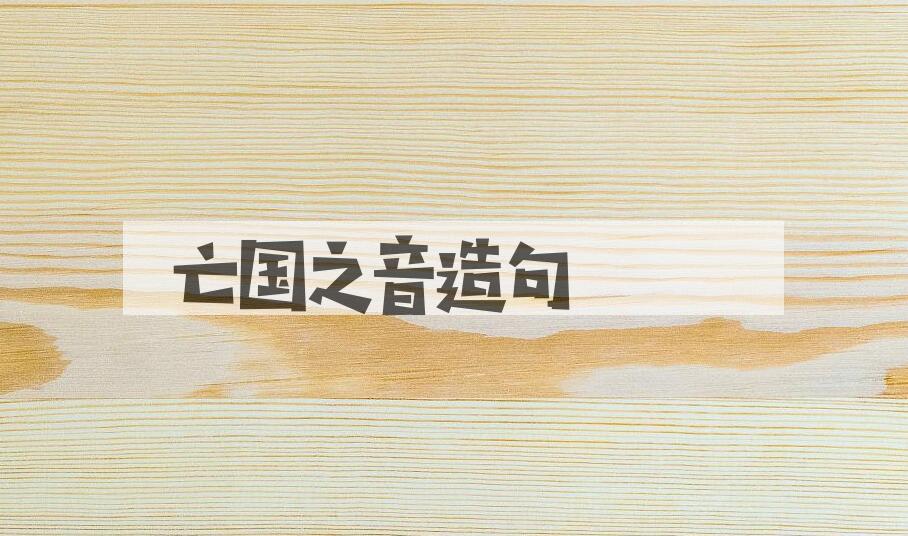 用亡国之音造句