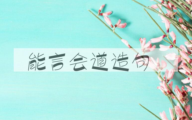 用能言会道造句