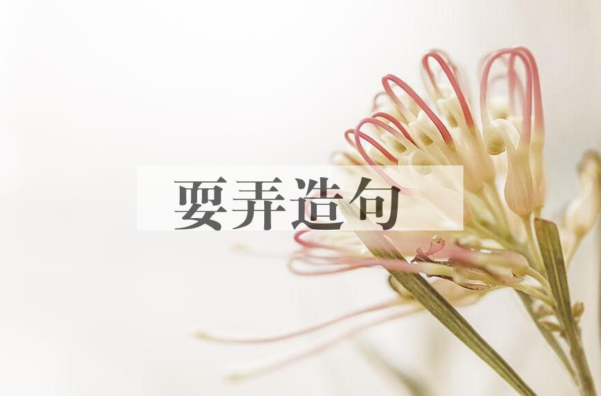 用耍弄造句