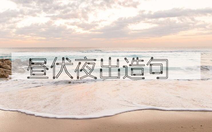 用昼伏夜出造句