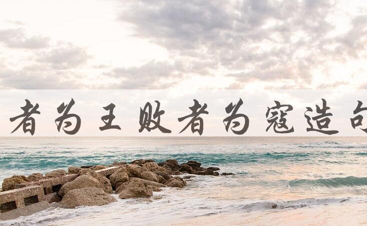 用胜者为王，败者为寇造句