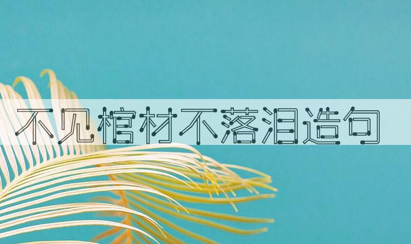 用不见棺材不落泪造句