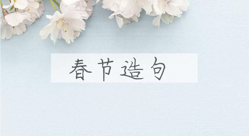 用春节造句