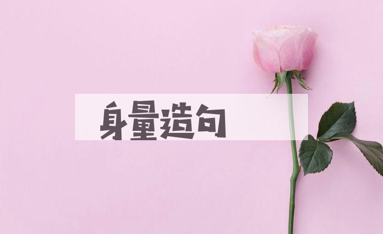 用身量造句
