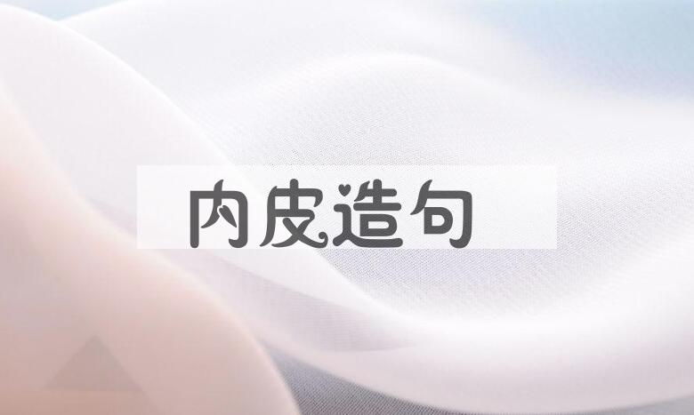 用内皮造句