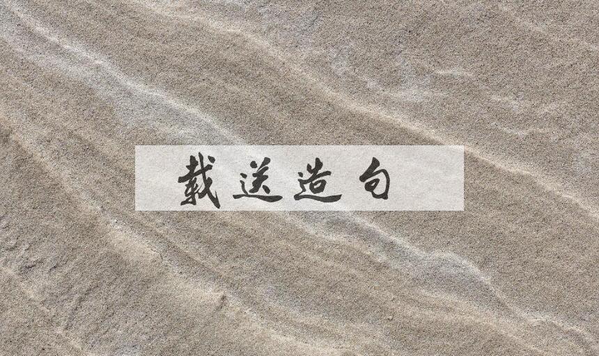 用载送造句