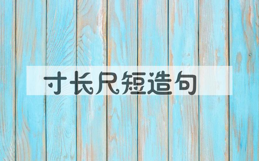 用寸长尺短造句