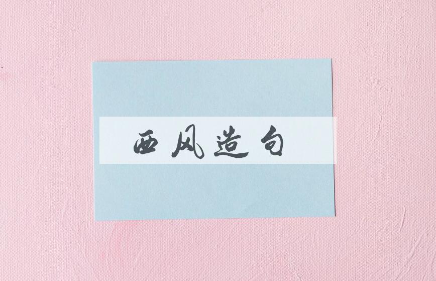 用西风造句