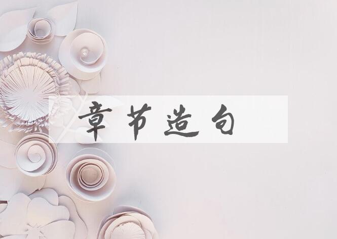 用章节造句