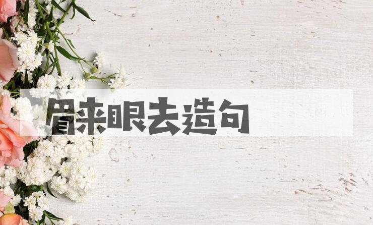 用眉来眼去造句