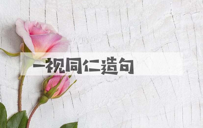 用一视同仁造句