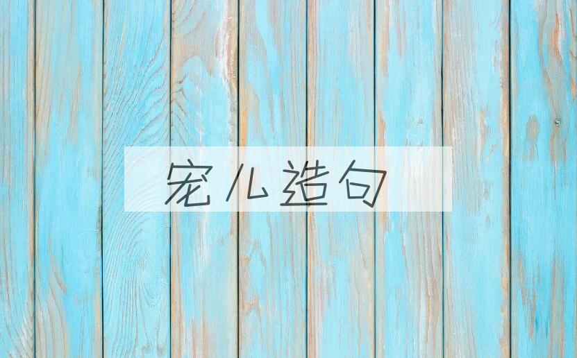 用宠儿造句
