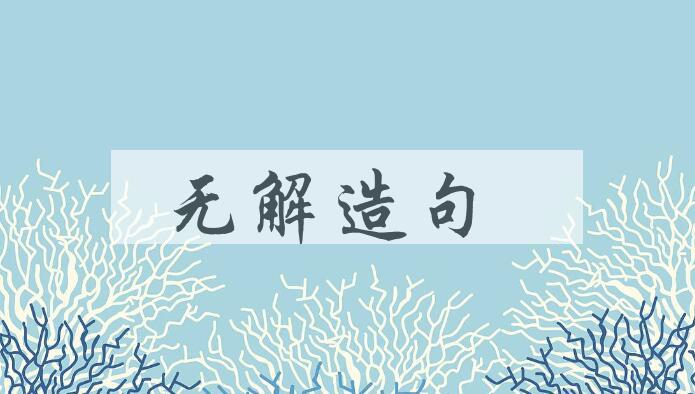 用无解造句