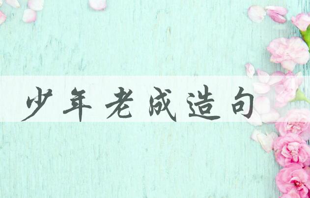 用少年老成造句