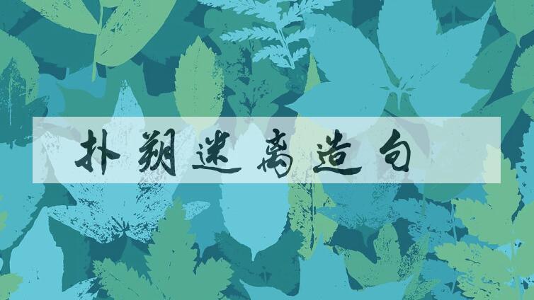 用扑朔迷离造句