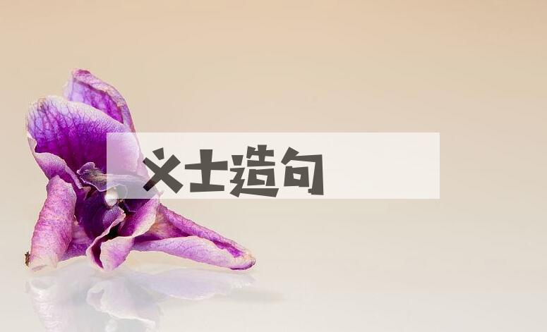 用义士造句