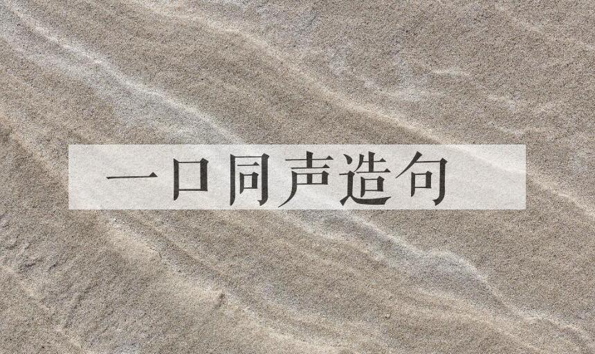 用一口同声造句