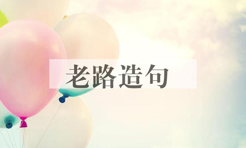 用老路造句