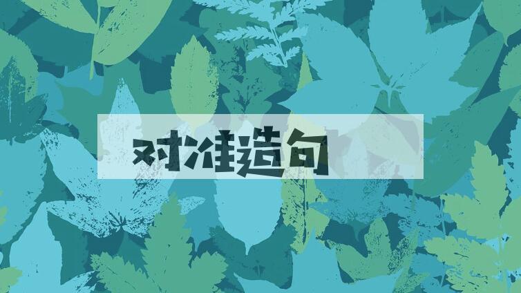 用对准造句