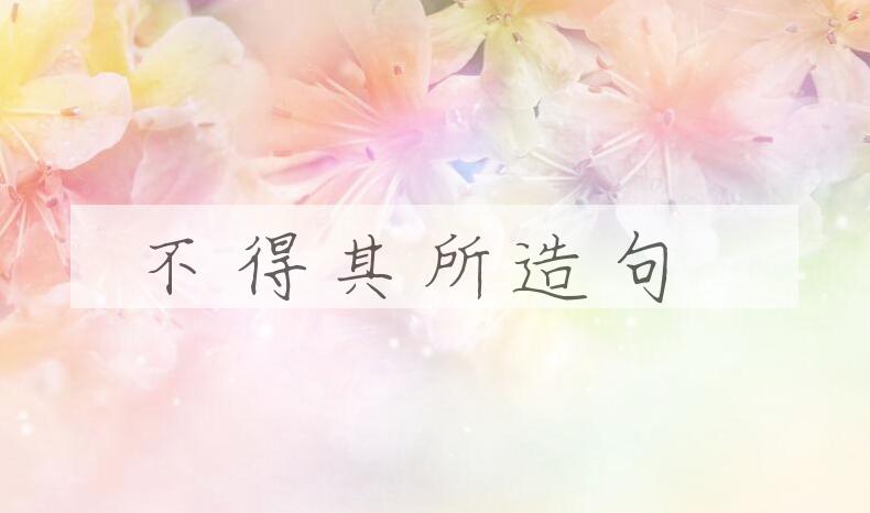 用不得其所造句