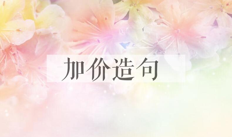 用加价造句