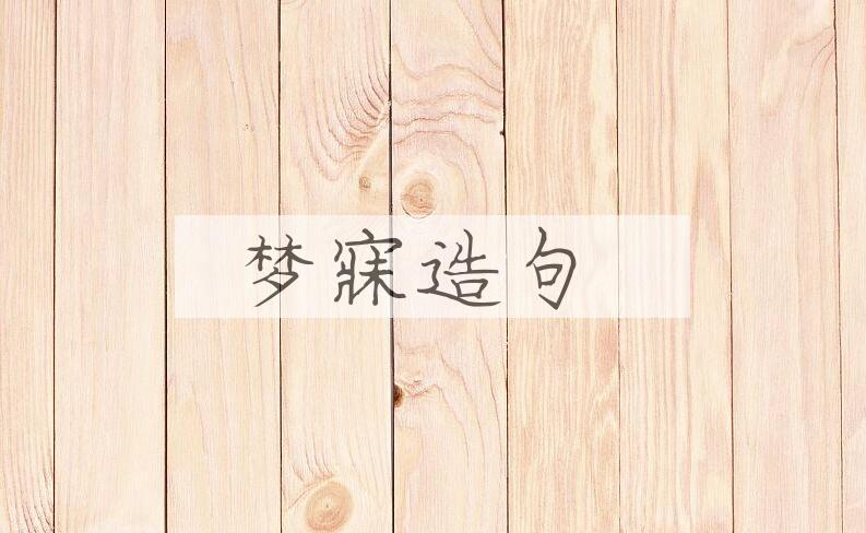 用梦寐造句