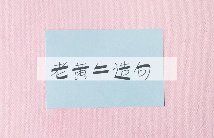 用老黄牛造句