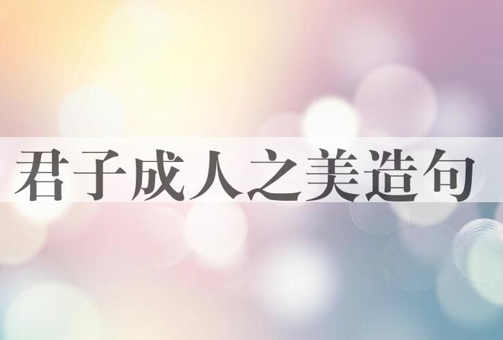 用君子成人之美造句