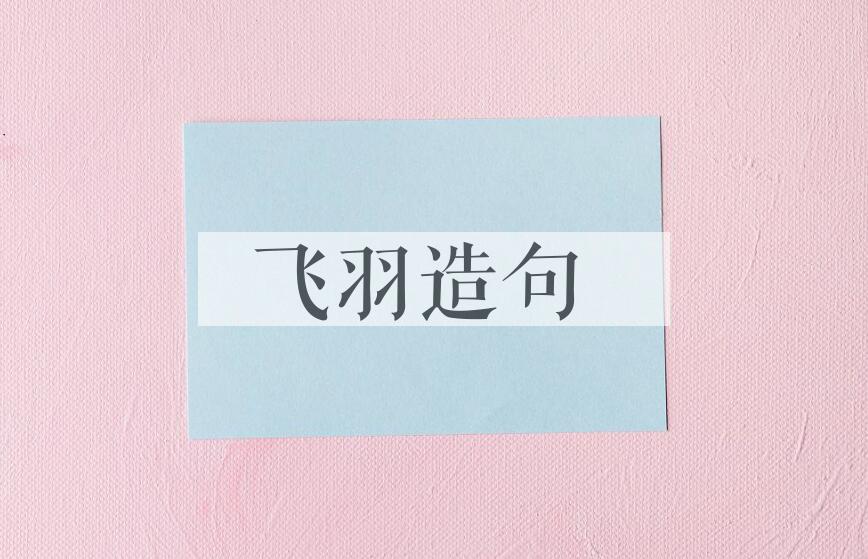 用飞羽造句
