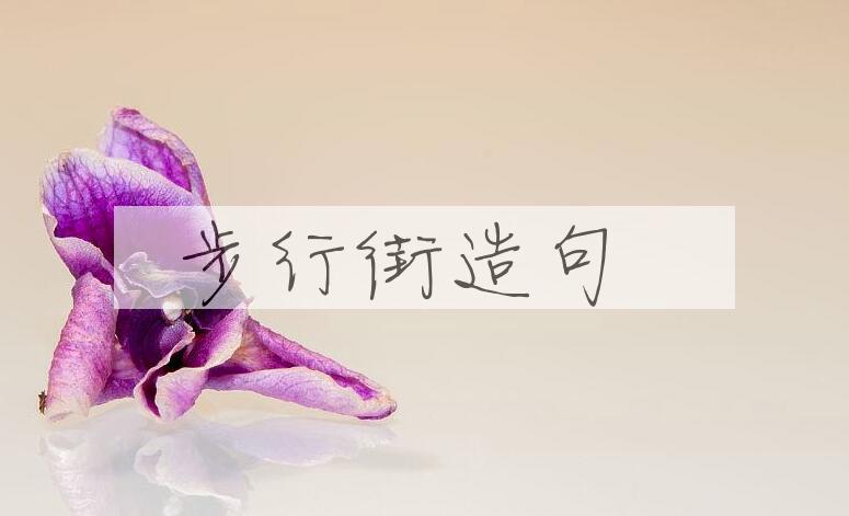 用步行街造句