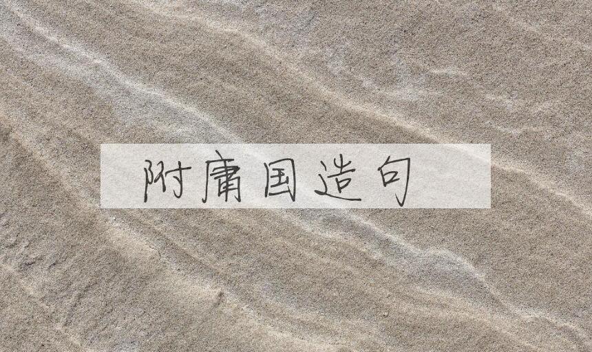 用附庸国造句