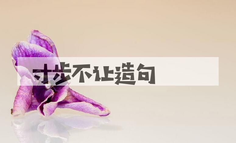 用寸步不让造句