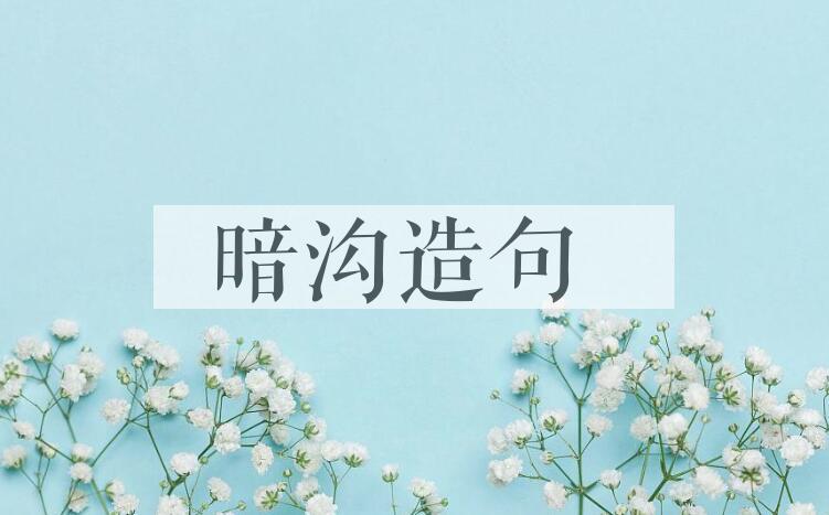 用暗沟造句