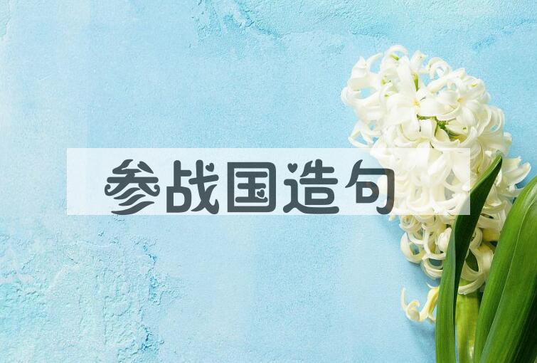 用参战国造句