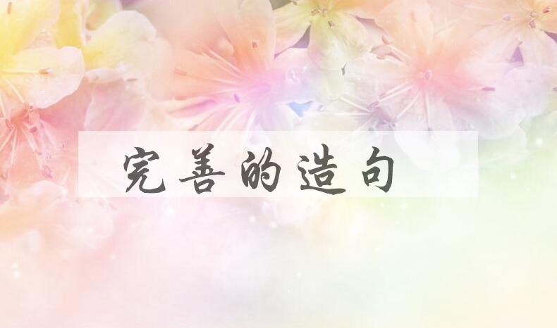 用完善的造句