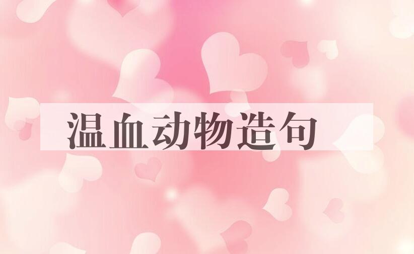 用温血动物造句