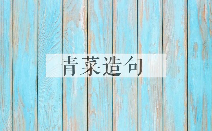用青菜造句