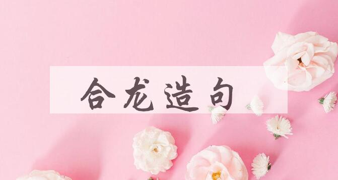 用合龙造句