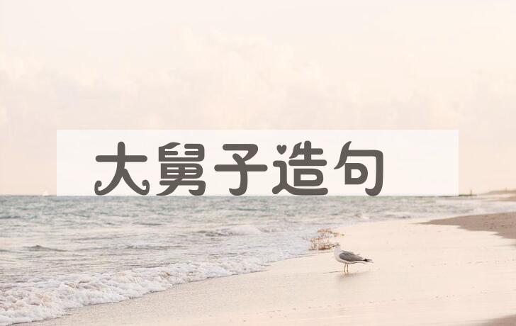 用大舅子造句