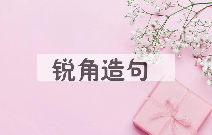 用锐角造句