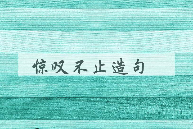 用惊叹不止造句