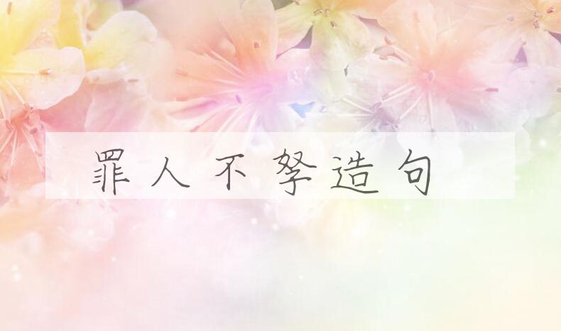 用罪人不孥造句