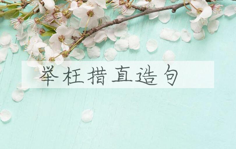 用举枉措直造句